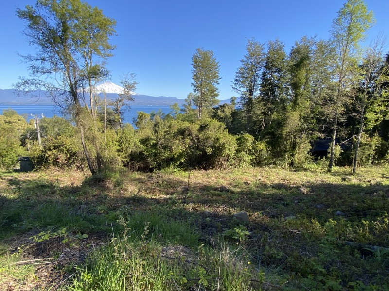 Rivera Norte Lago Villarrica Vista Al Lago y Volcán