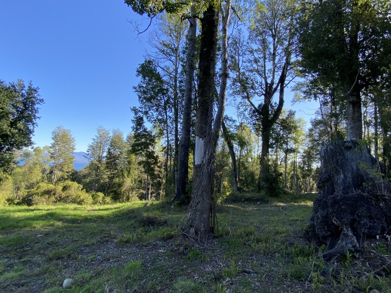 Rivera Norte Lago Villarrica Vista Al Lago y Volcán