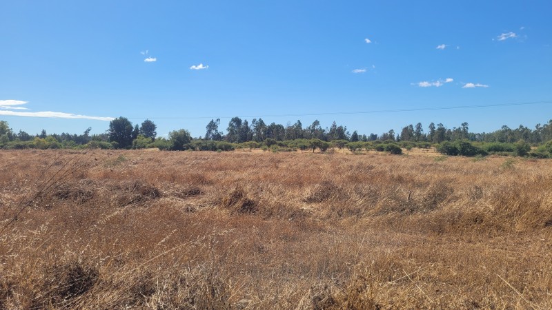 Venta de Parcela de 14 Has Con Agua