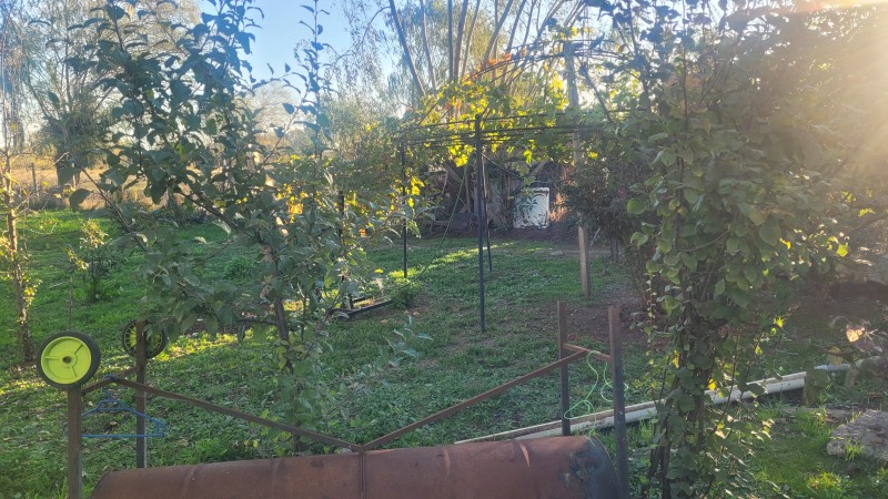 Parcela de 5.000 M2 Con Casa Sector Villa Reina Parral