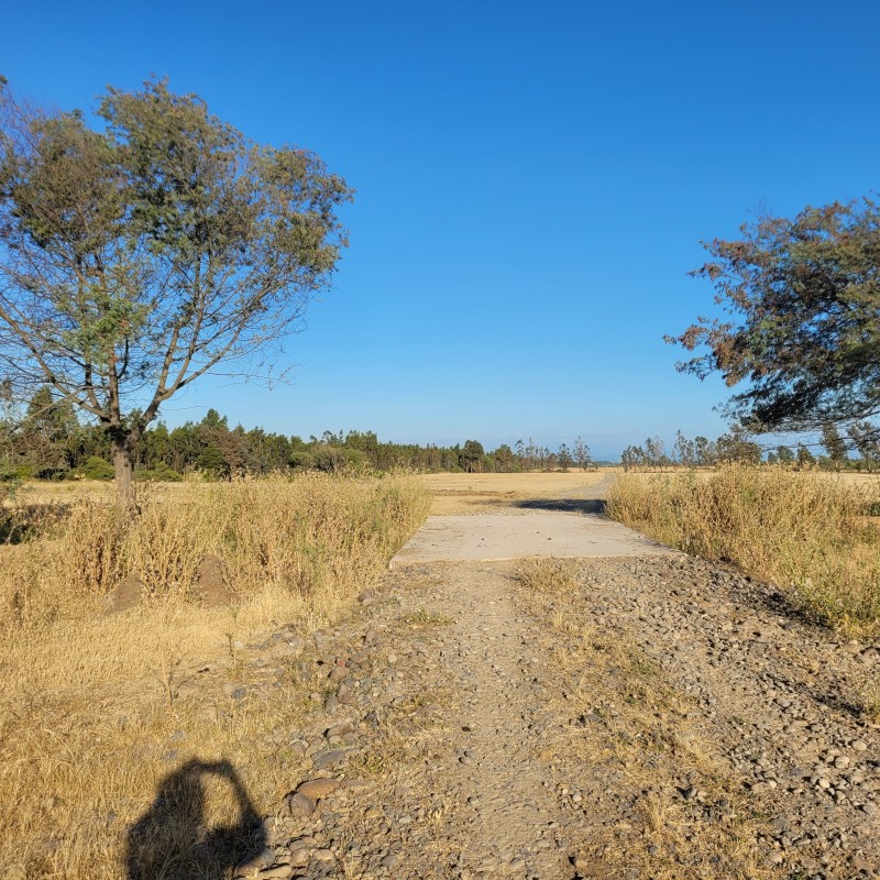 Venta de Loteo Camino 4 Esquinas de 5.000 M2