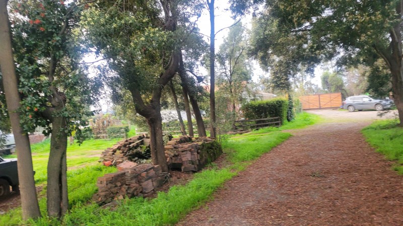 1 Há Camino A Ajial Con Casa y Molino Funcionando
