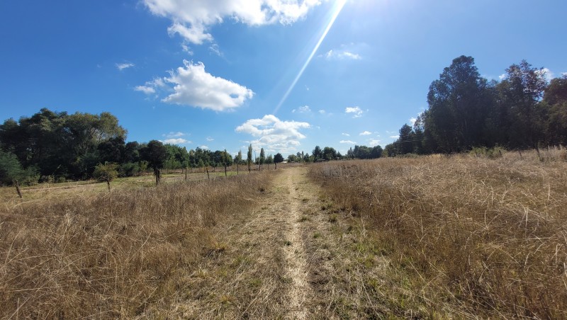 Venta Por Hectarea Sector Colvindo San Gregorio