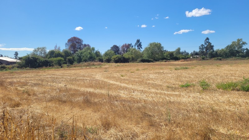 Venta de Parcela de 14 Has Con Agua