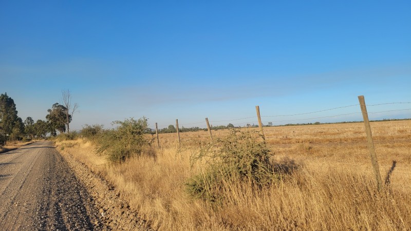 Venta de 40 Hás Sector Paso Hondo Sin Agua Por Há