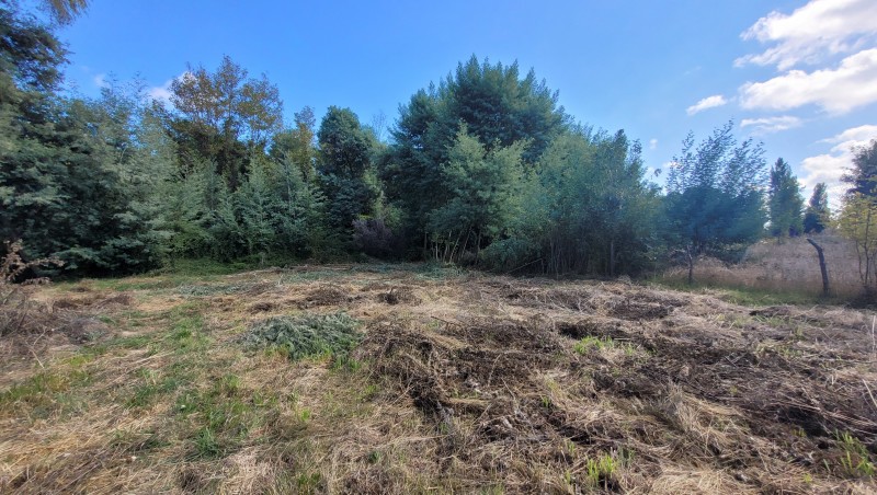 Venta Por Hectarea Sector Colvindo San Gregorio