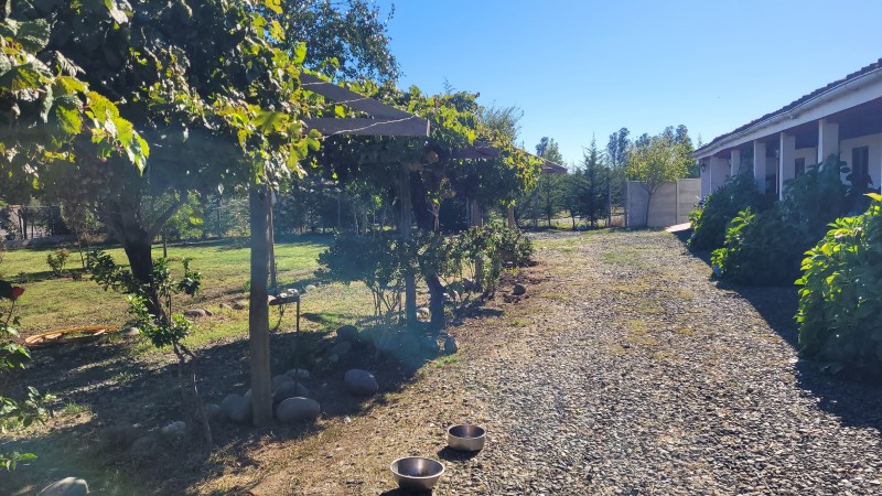 Arriendo de Casa Patronal Cercana A Parral