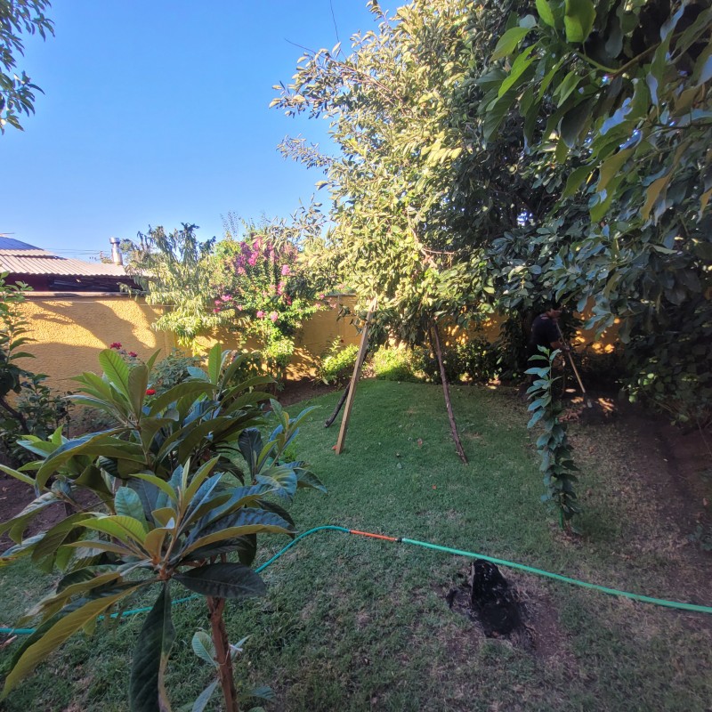 Casa Central Material Solido