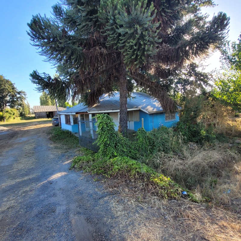 Parcela Orilla Camino Camelia Casa, Negocio, Bodega, Galpon