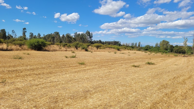 Venta de Parcela de 14 Has Con Agua