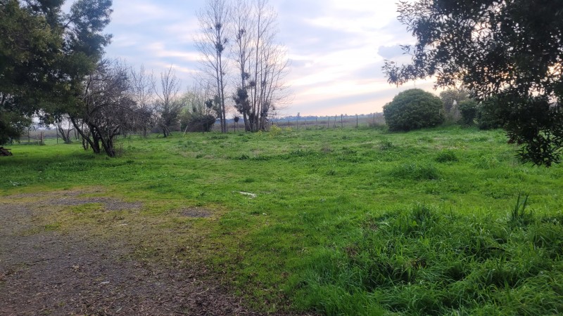 1 Há Camino A Ajial Con Casa y Molino Funcionando