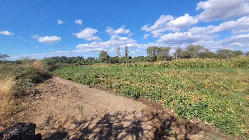 Venta de Parcela de 14 Has Con Agua