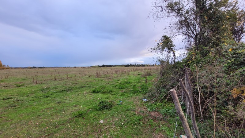 Venta Por Lote Camino Ciénago A 5 Km de Parral