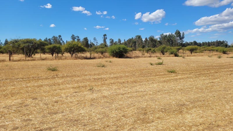 Venta de Parcela de 14 Has Con Agua