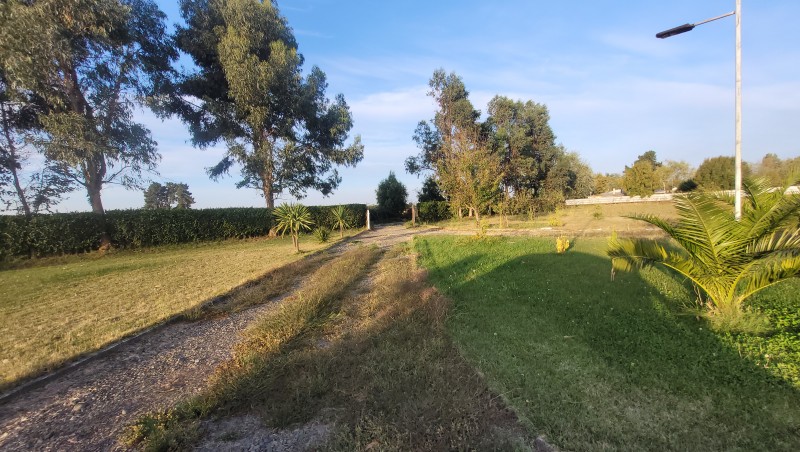 Parcela de 8.000 M2 Con Quincho y Piscina