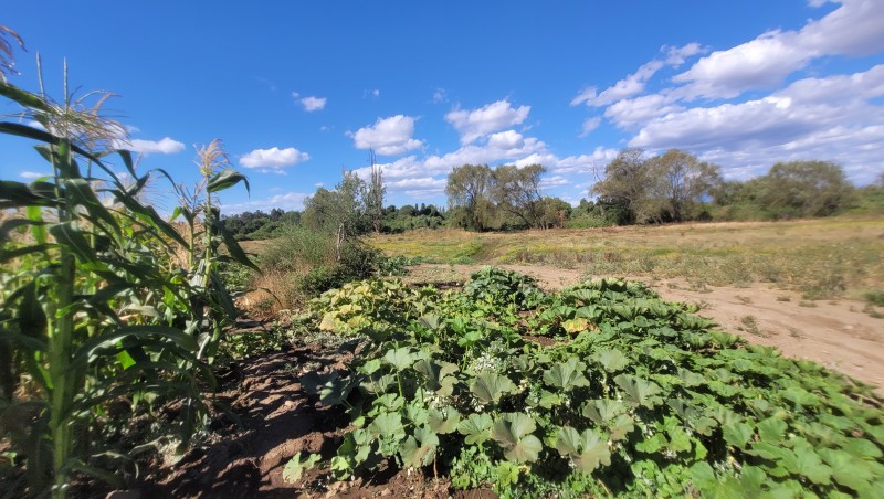 Venta de Parcela de 14 Has Con Agua