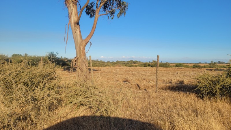 Venta de 40 Hás Sector Paso Hondo Sin Agua Por Há