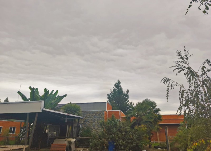 Venta de Parcela de 5.000 M2 Camino A Panimavida Linares