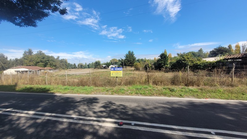 Venta Por Hectarea Sector Colvindo San Gregorio