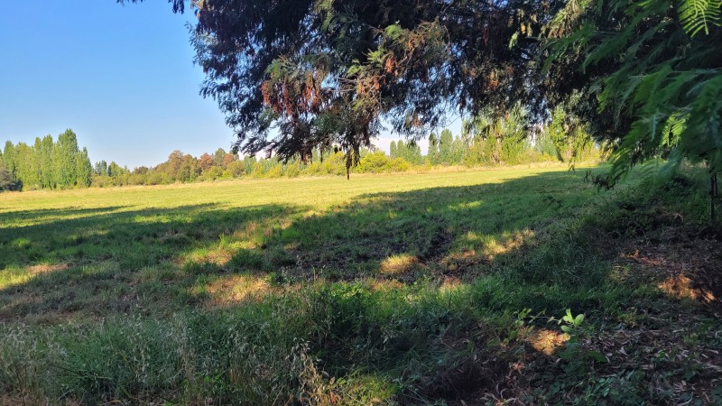 Parcela de 10.8 Hás Con 4.8 Acciones Agua 2 Casas y Piscina