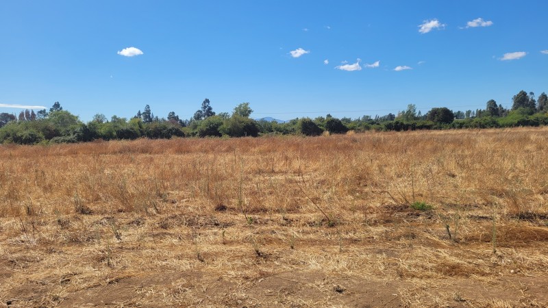 Venta de Parcela de 14 Has Con Agua