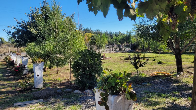 Arriendo de Casa Patronal Cercana A Parral
