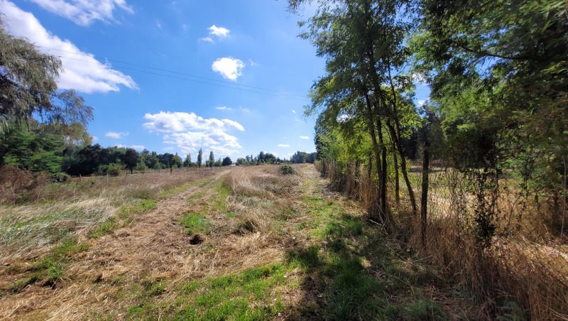 Venta Por Hectarea Sector Colvindo San Gregorio