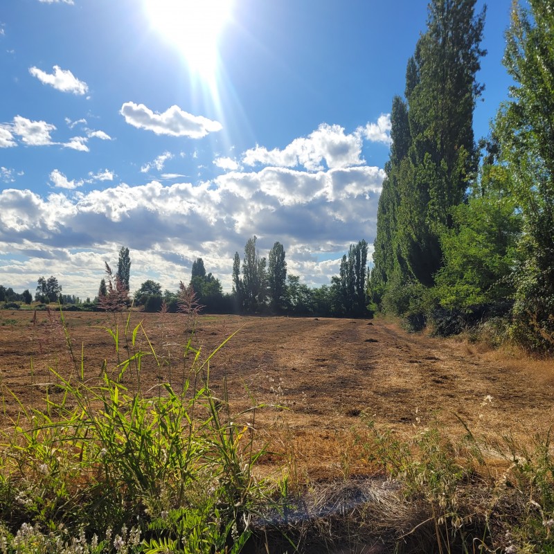 Venta Por Hectarea de Campo Trumao