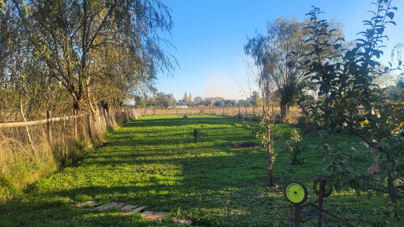 Parcela de 5.000 M2 Con Casa Sector Villa Reina Parral