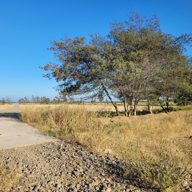 Venta de Loteo Camino 4 Esquinas de 5.000 M2