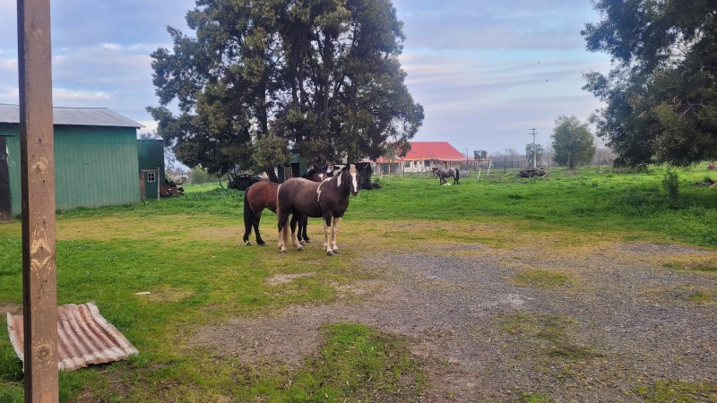 1 Há Camino A Ajial Con Casa y Molino Funcionando