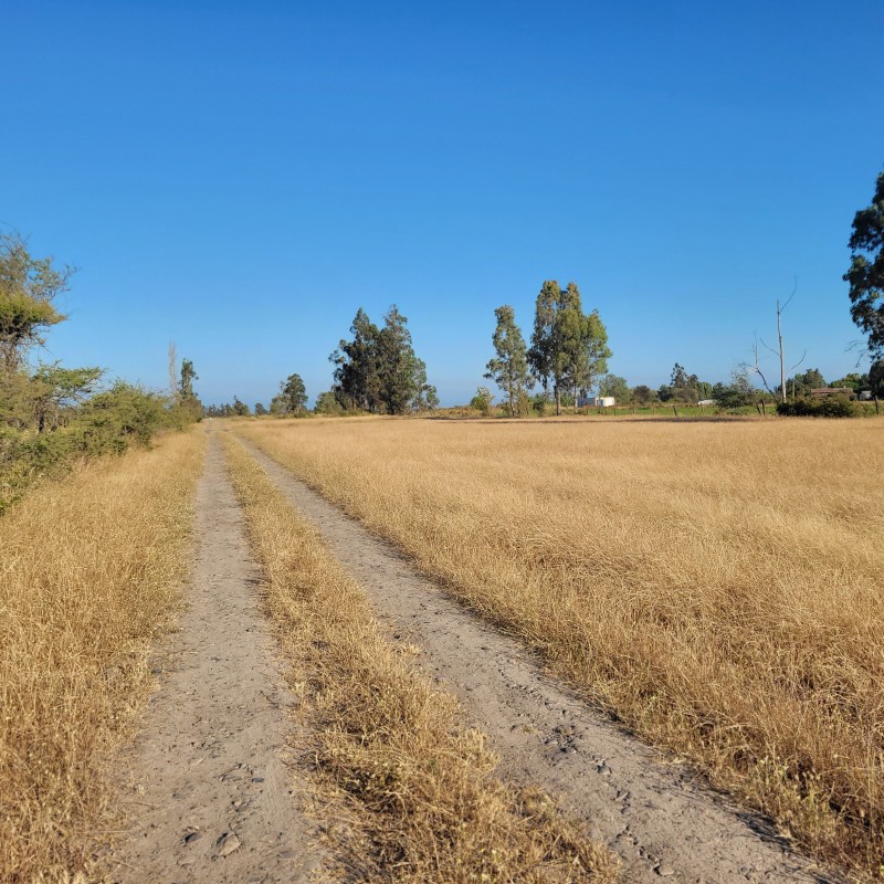 Venta de Loteo Camino 4 Esquinas de 5.000 M2