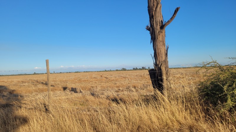 Venta de 40 Hás Sector Paso Hondo Sin Agua Por Há