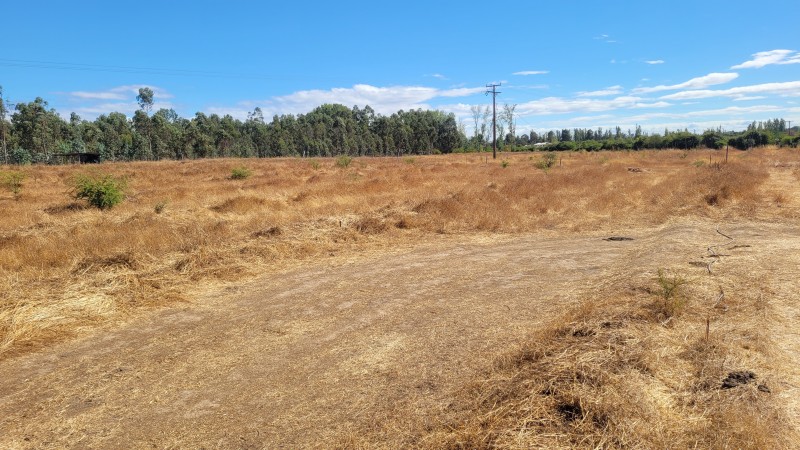 Venta de Parcela de 14 Has Con Agua