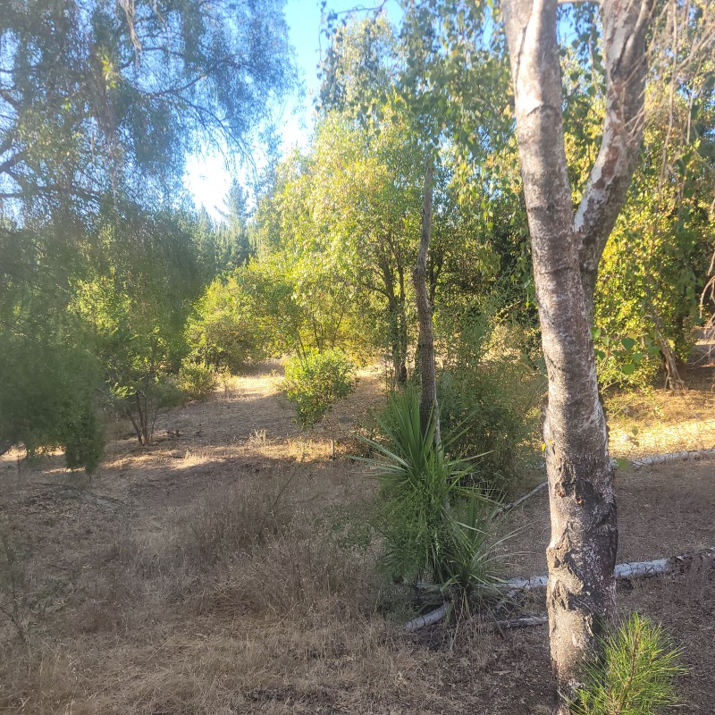 5.000 M2 Calle Principal Catillo Incluye Casa y Piscina
