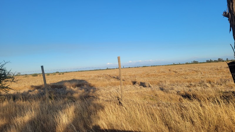Venta de 40 Hás Sector Paso Hondo Sin Agua Por Há