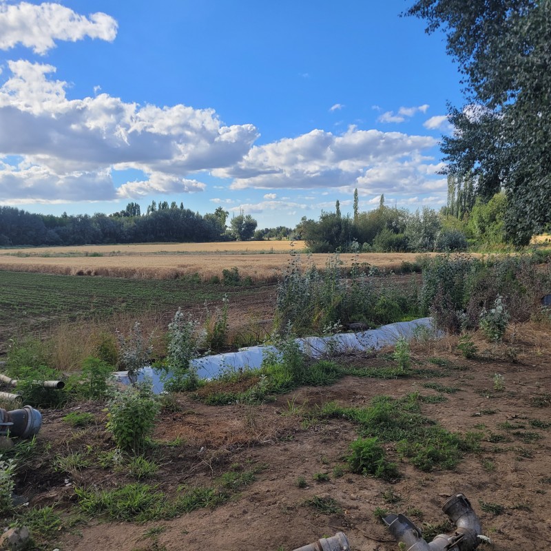 Venta Por Hectarea de Campo Trumao