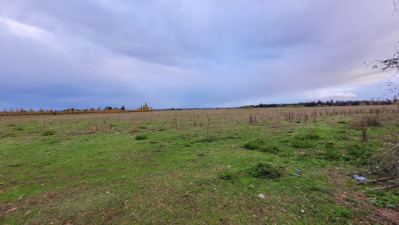 Venta Por Lote Camino Ciénago A 5 Km de Parral