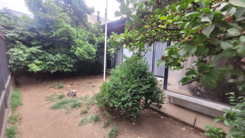 Casa Material Solido Central Alameda las Delicias Parral