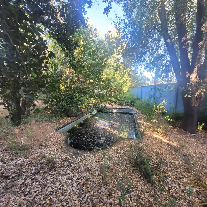 5.000 M2 Calle Principal Catillo Incluye Casa y Piscina