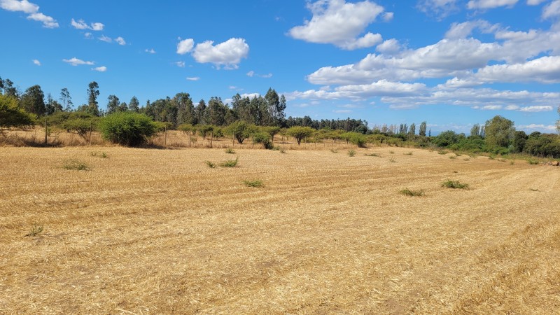 Venta de Parcela de 14 Has Con Agua