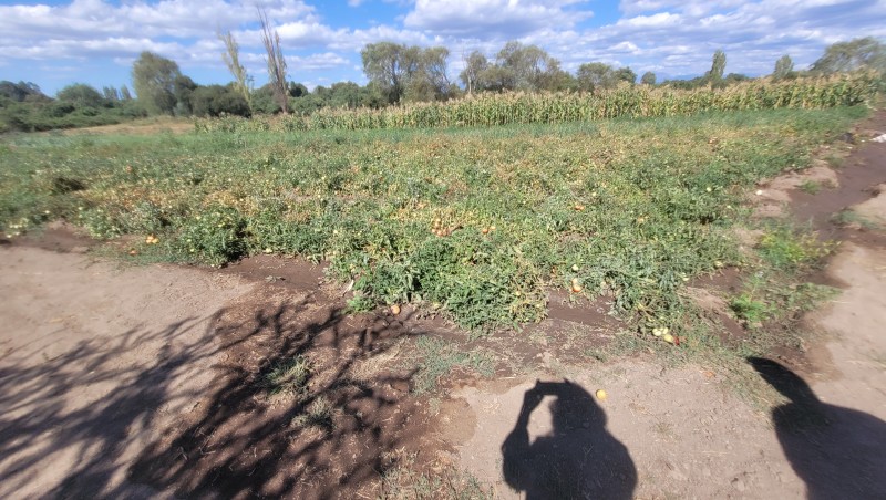 Venta de Parcela de 14 Has Con Agua