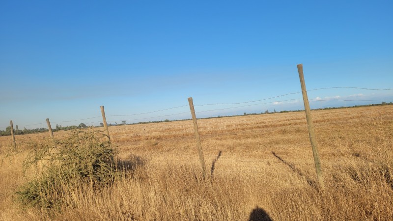 Venta de 40 Hás Sector Paso Hondo Sin Agua Por Há