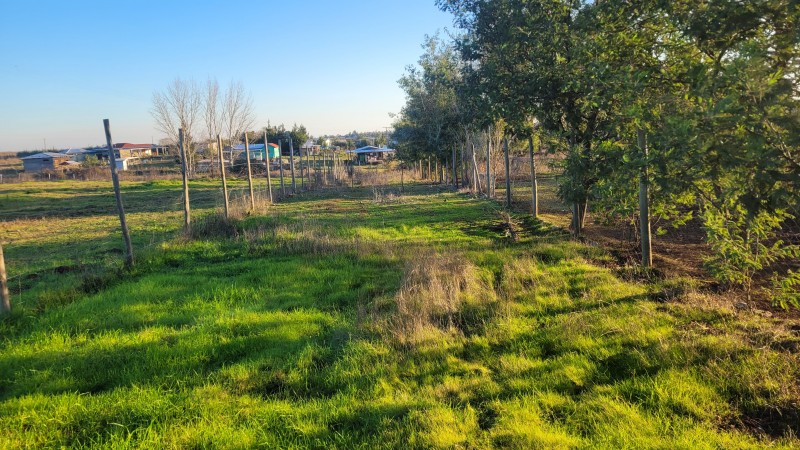 5.000 M2 Sector Copihue Orilla de Camino