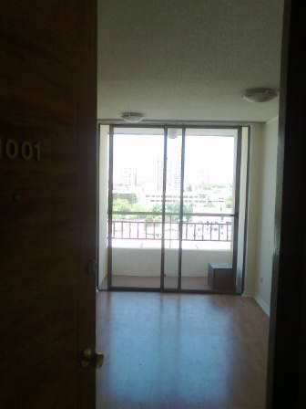 Metro Irarrazaval Dpto 2Dmts Living y Terraza