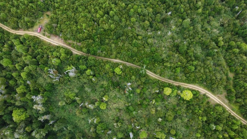 Oportunidad Perfecta Inversión Terreno Agrícola Ganadero