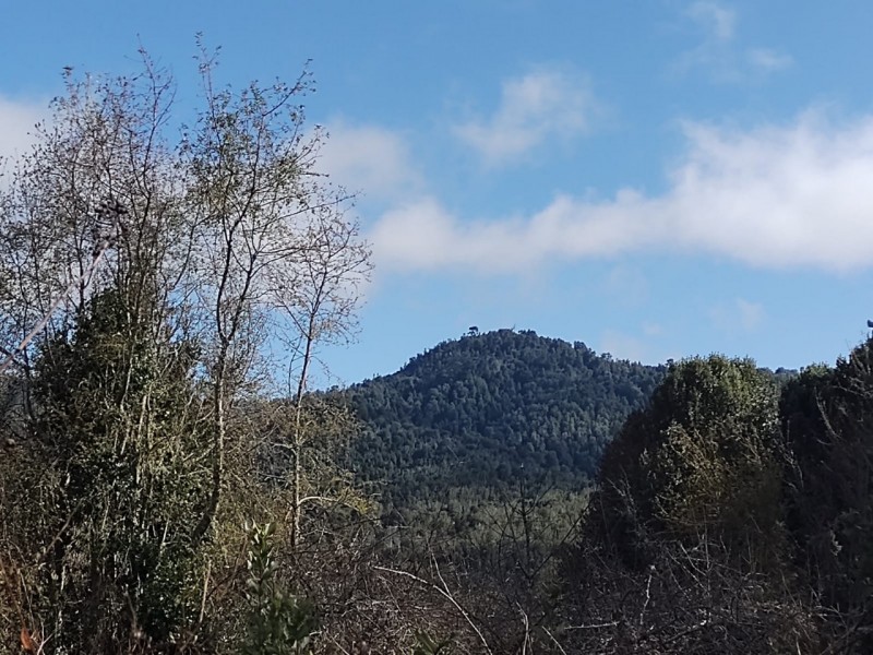Oportunidad Perfecta Inversión Terreno Agrícola Ganadero
