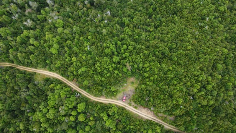 Oportunidad Perfecta Inversión Terreno Agrícola Ganadero