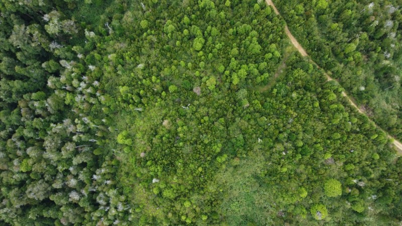 Oportunidad Perfecta Inversión Terreno Agrícola Ganadero