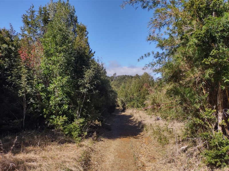 Oportunidad Perfecta Inversión Terreno Agrícola Ganadero